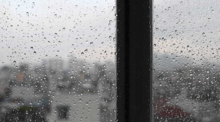 Damp & Mould Action and Awareness Week 2025